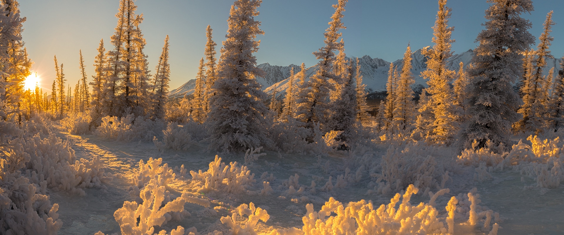 Wintertraum Yukon