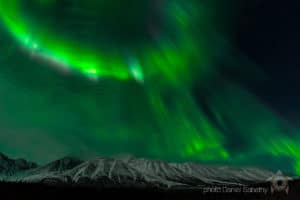 Aurora Borealis (Polarlicht, Nordlichter) Fotoreisen, Yukon