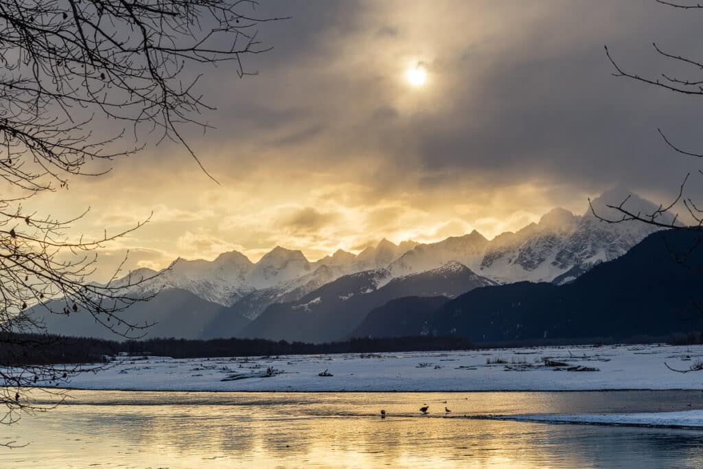 Winter Landscape Photo Eagle Festival Haines Alaska